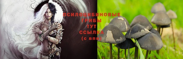 мет Арсеньев