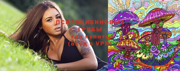 мет Арсеньев