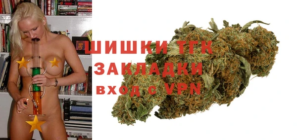 шишки Армянск