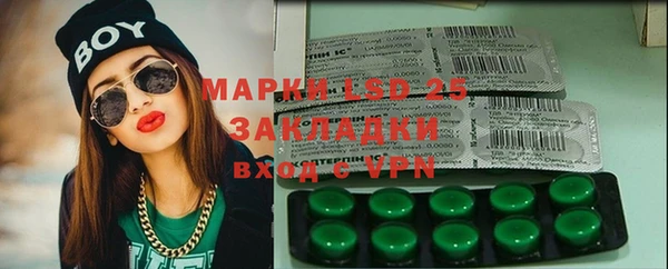 спиды Аркадак